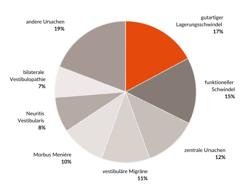 Schwindel – Ursachen, Symptome und häufige Erkrankungen im Überblick Diagramm zu häufigen Schwindelursachen mit gutartigem Lagerungsschwindel, funktionellem Schwindel, vestibulärer Migräne und Morbus Menière – Schwindeltherapie Wien